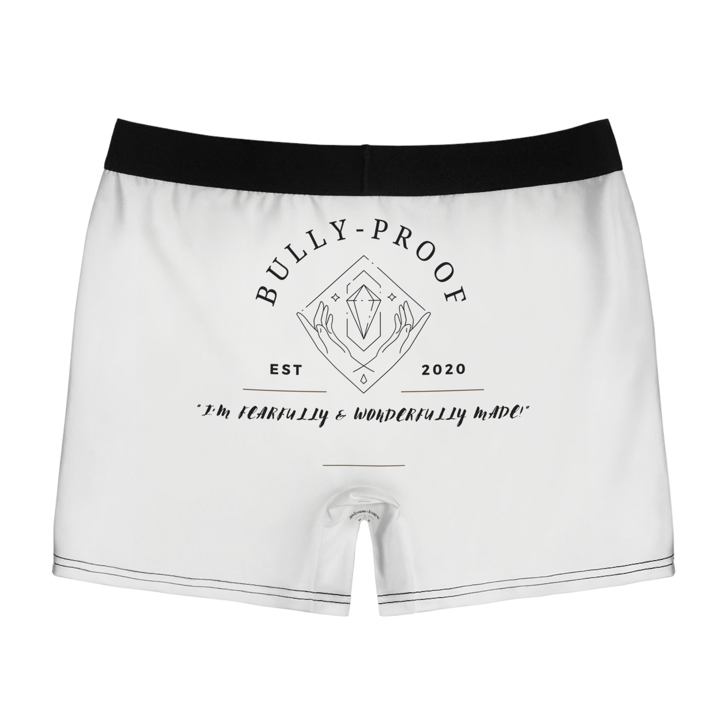 Bully-Proof Logo Men's Boxer Briefs (AOP)